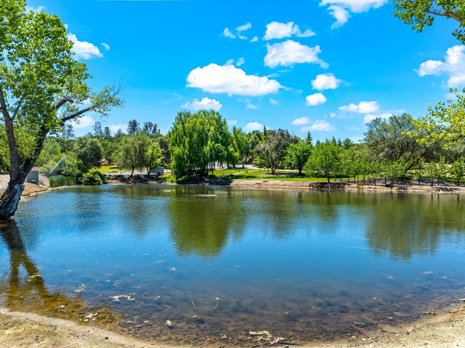 Detail Gallery Image 59 of 99 For 6841 Marysville Rd, Browns Valley,  CA 95918 - 3 Beds | 2 Baths