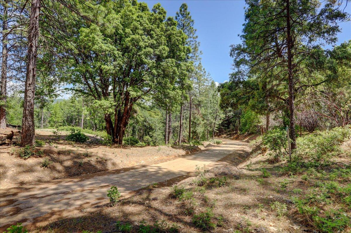 Detail Gallery Image 1 of 42 For 16890 Red Dog Rd, Nevada City,  CA 95959 - – Beds | – Baths