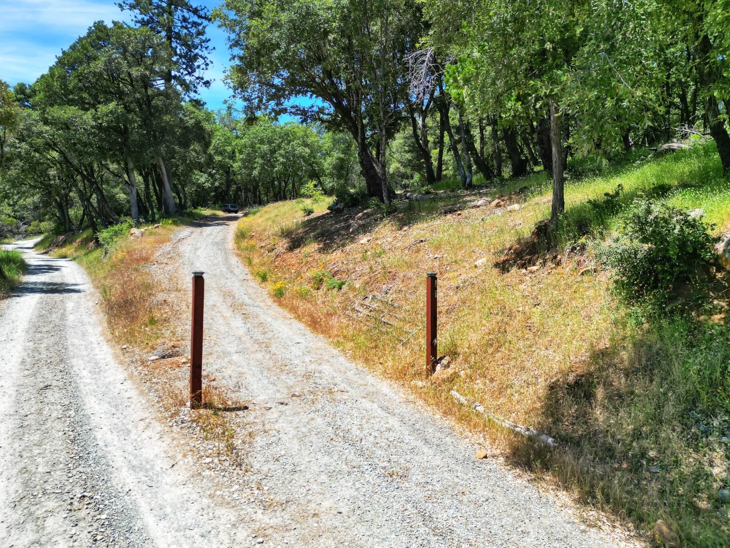 Detail Gallery Image 42 of 47 For 10441 Rim Rock Ln, Nevada City,  CA 95959 - – Beds | – Baths