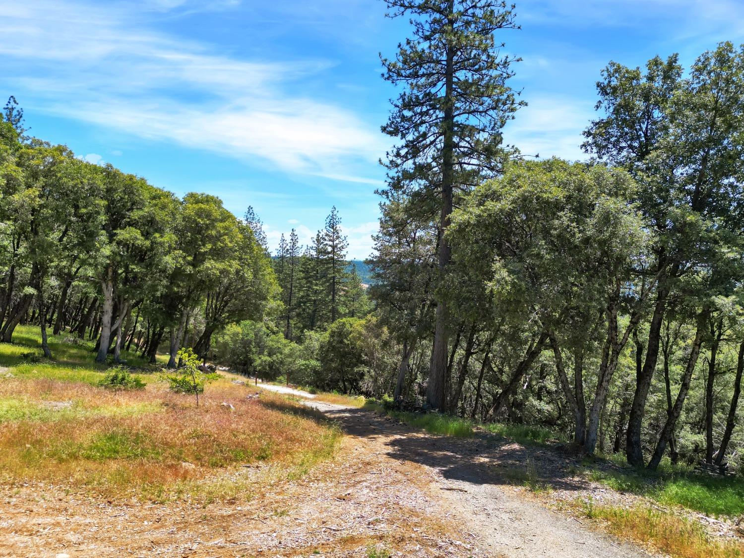 Detail Gallery Image 35 of 47 For 10441 Rim Rock Ln, Nevada City,  CA 95959 - – Beds | – Baths