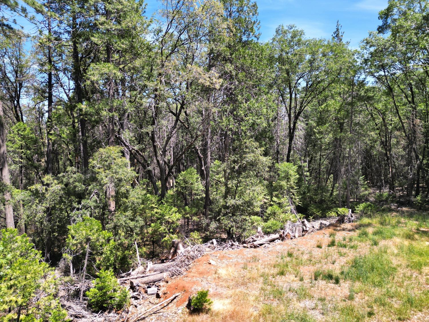 Detail Gallery Image 7 of 47 For 10441 Rim Rock Ln, Nevada City,  CA 95959 - – Beds | – Baths