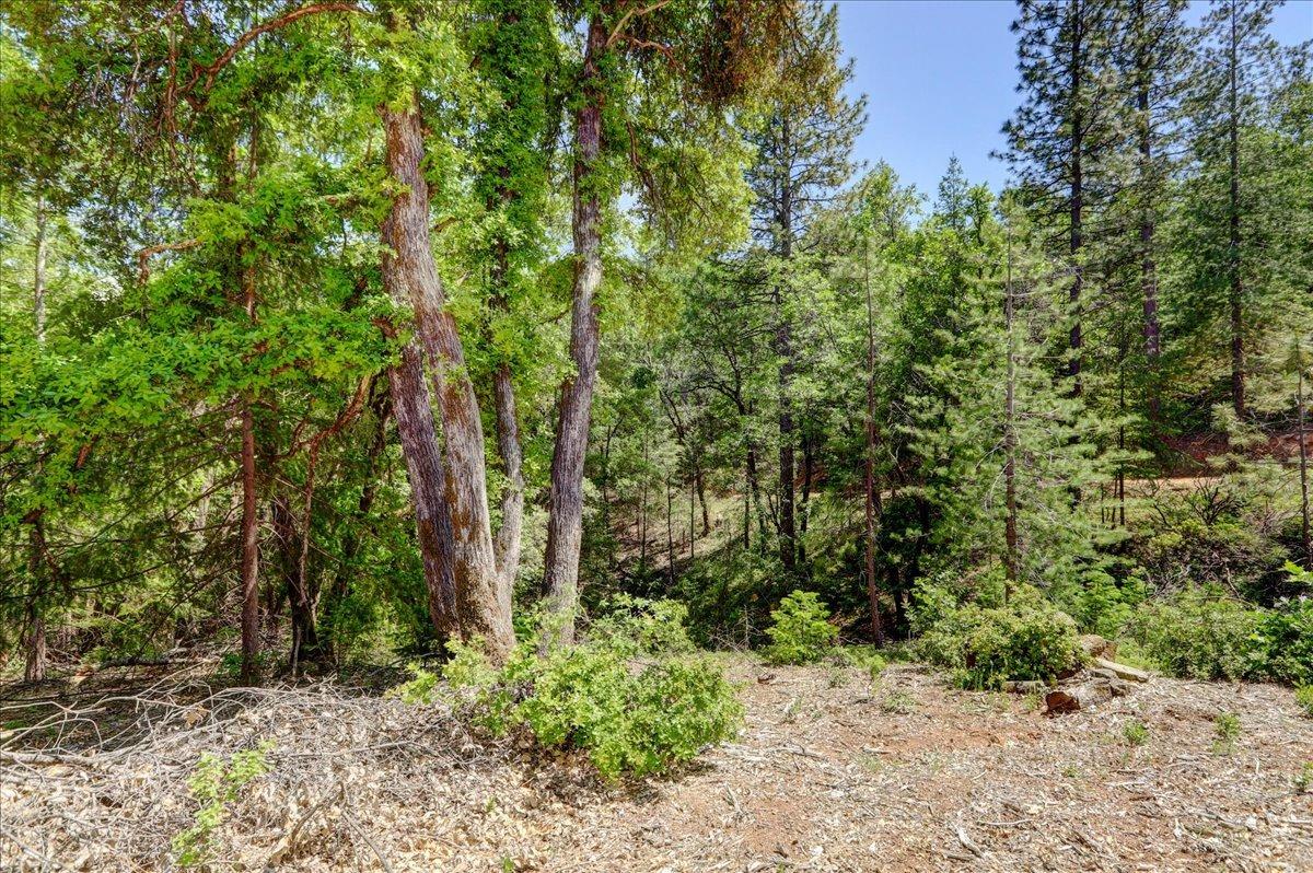 Detail Gallery Image 9 of 42 For 16890 Red Dog Rd, Nevada City,  CA 95959 - – Beds | – Baths