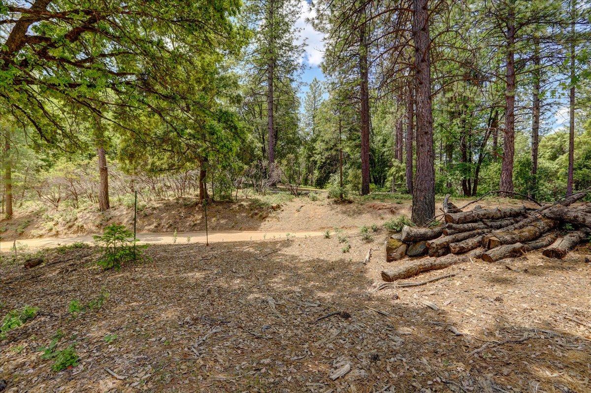 Detail Gallery Image 52 of 68 For 16856 Red Dog Rd, Nevada City,  CA 95959 - – Beds | – Baths