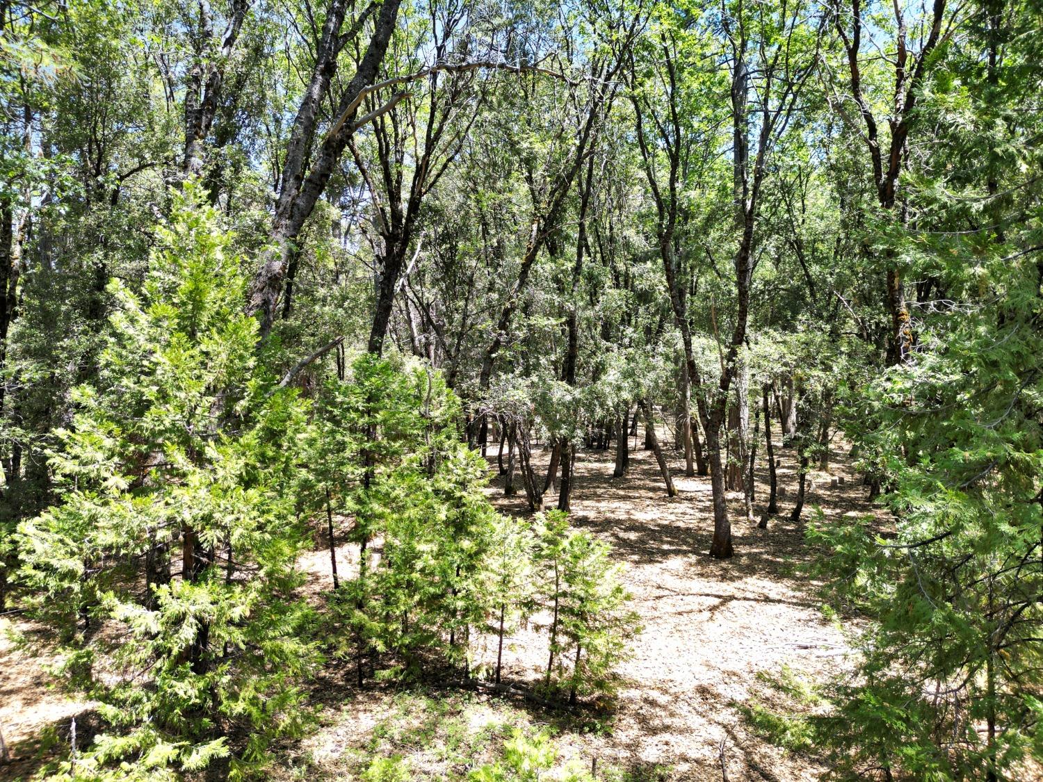 Detail Gallery Image 45 of 47 For 10441 Rim Rock Ln, Nevada City,  CA 95959 - – Beds | – Baths