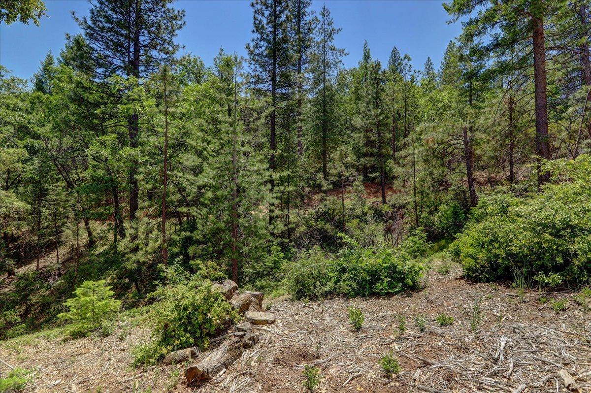 Detail Gallery Image 34 of 42 For 16890 Red Dog Rd, Nevada City,  CA 95959 - – Beds | – Baths