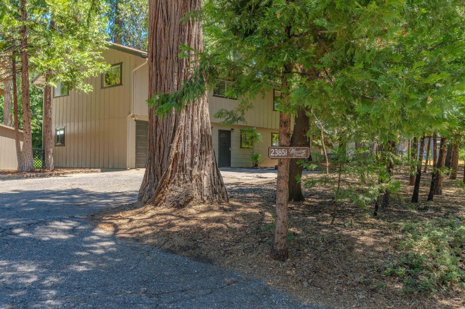 Detail Gallery Image 29 of 85 For 23851 Meadow Crest Dr, Pioneer,  CA 95666 - 3 Beds | 2/1 Baths