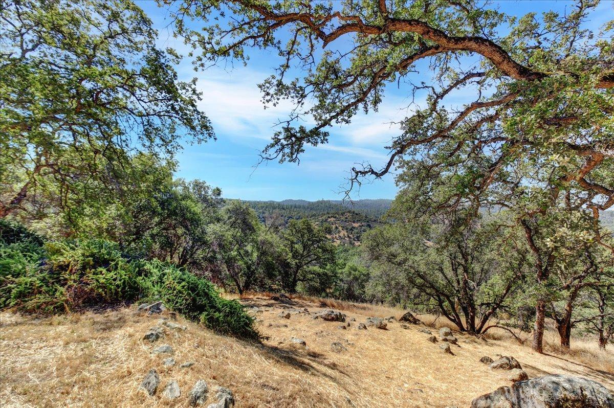 Detail Gallery Image 46 of 70 For 14956 Ballantree Ln, Grass Valley,  CA 95949 - 2 Beds | 1 Baths