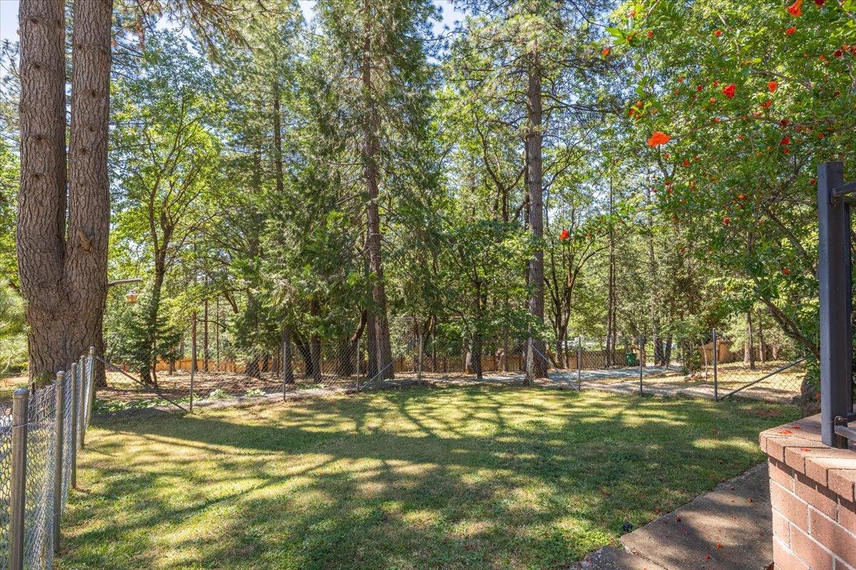 Brooks Road, Grass Valley, California image 7