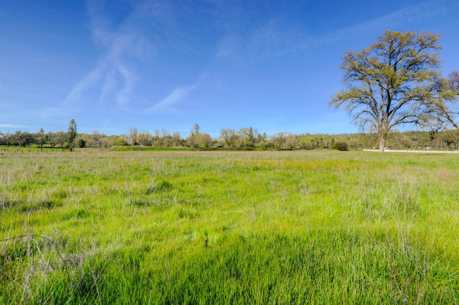 Mcland Court, Penn Valley, California image 32