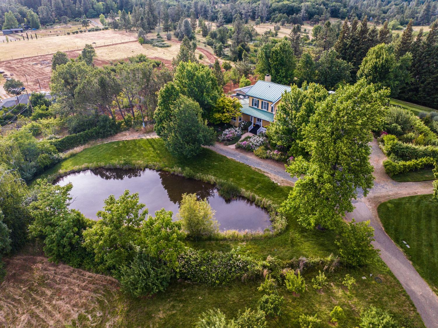 Detail Gallery Image 1 of 1 For 15834 Mount Olive Rd, Grass Valley,  CA 95945 - 6 Beds | 3/1 Baths