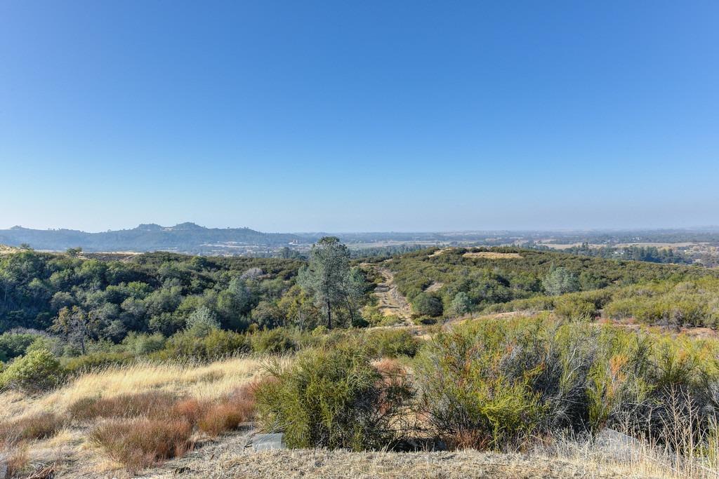 Detail Gallery Image 21 of 62 For 7630 Goose Hill Ranch Rd, Ione,  CA 95640 - 3 Beds | 2/1 Baths