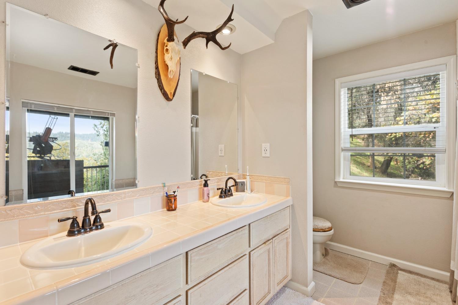 Detail Gallery Image 21 of 47 For 1581 Bear Rock Rd, Placerville,  CA 95667 - 3 Beds | 2/1 Baths