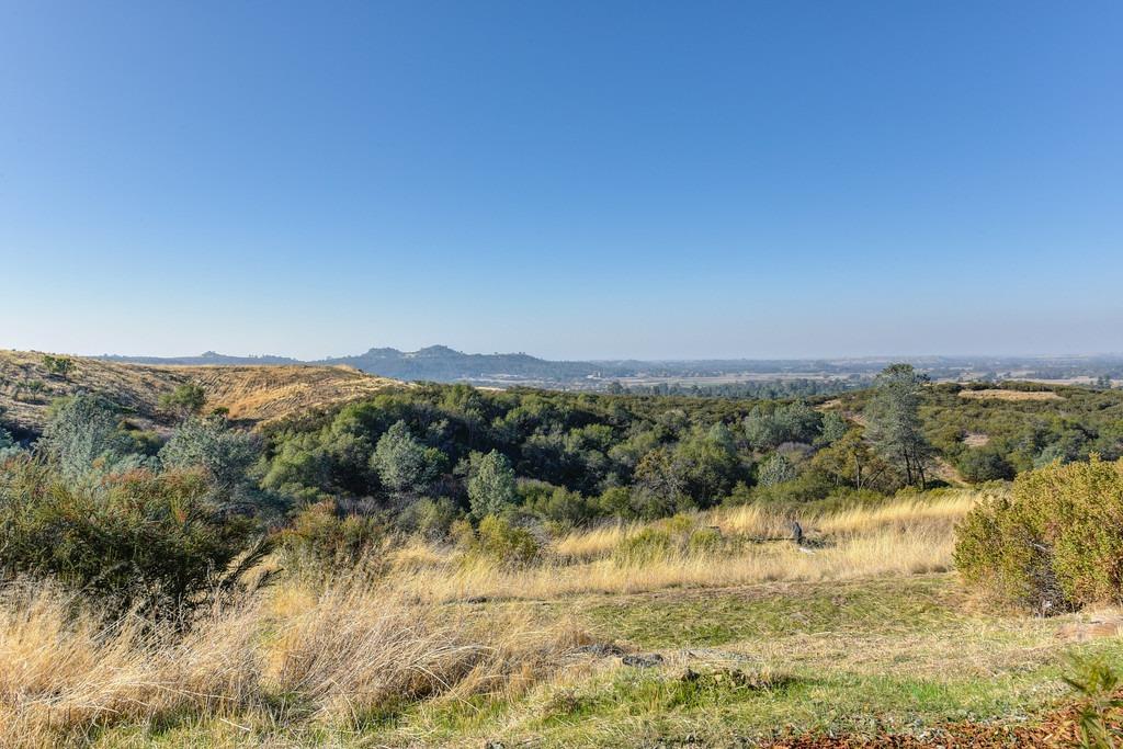 Detail Gallery Image 13 of 62 For 7630 Goose Hill Ranch Rd, Ione,  CA 95640 - 3 Beds | 2/1 Baths