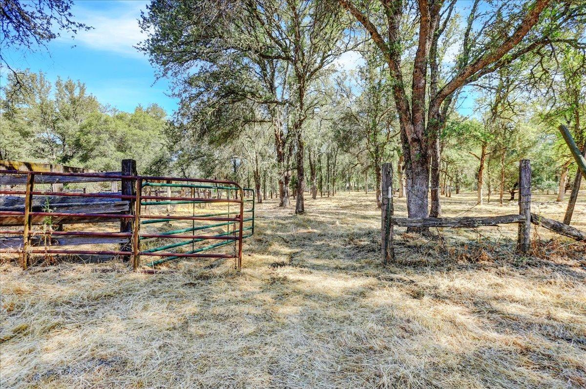 Gray Oak Drive, Rough and Ready, California image 22