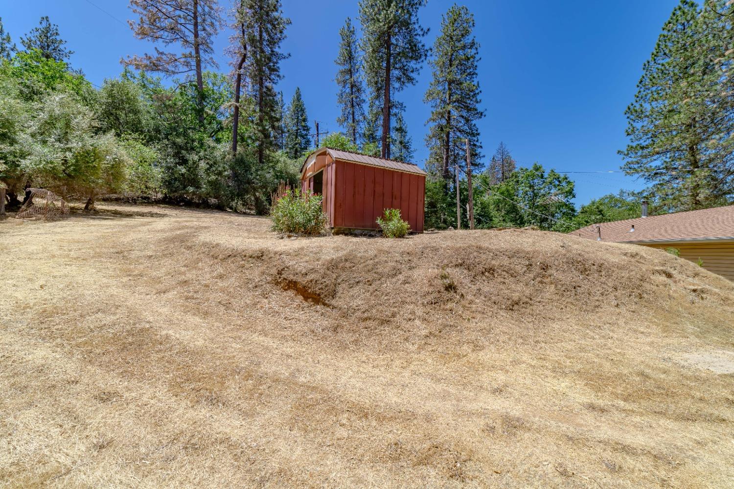 American Flat Road, Fiddletown, California image 18