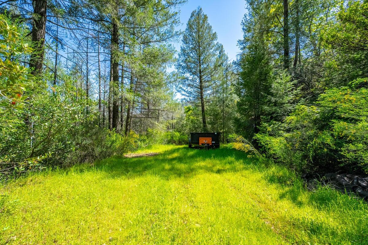 Detail Gallery Image 32 of 47 For 1581 Bear Rock Rd, Placerville,  CA 95667 - 3 Beds | 2/1 Baths