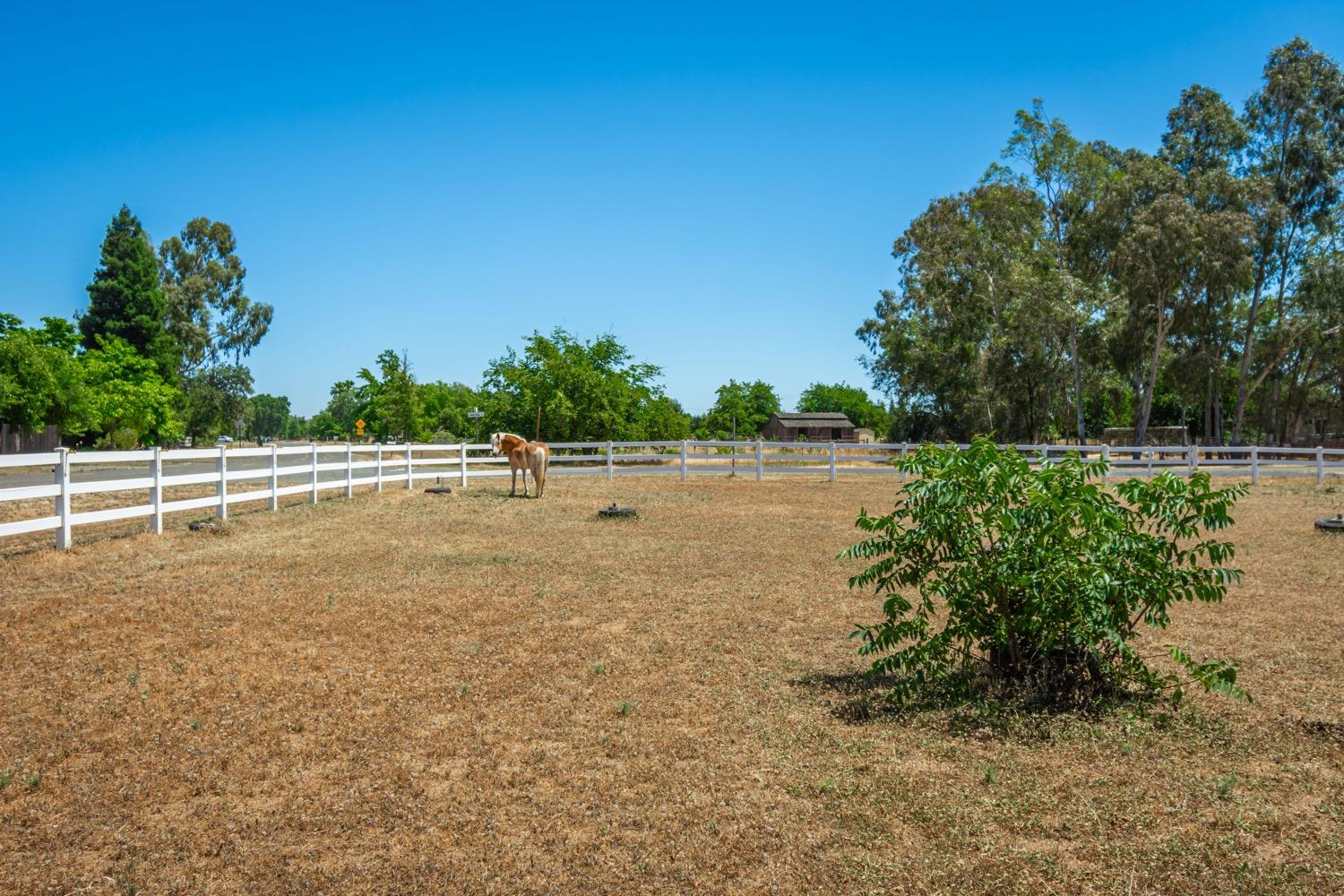 Lakeridge Circle, Elk Grove, California image 48