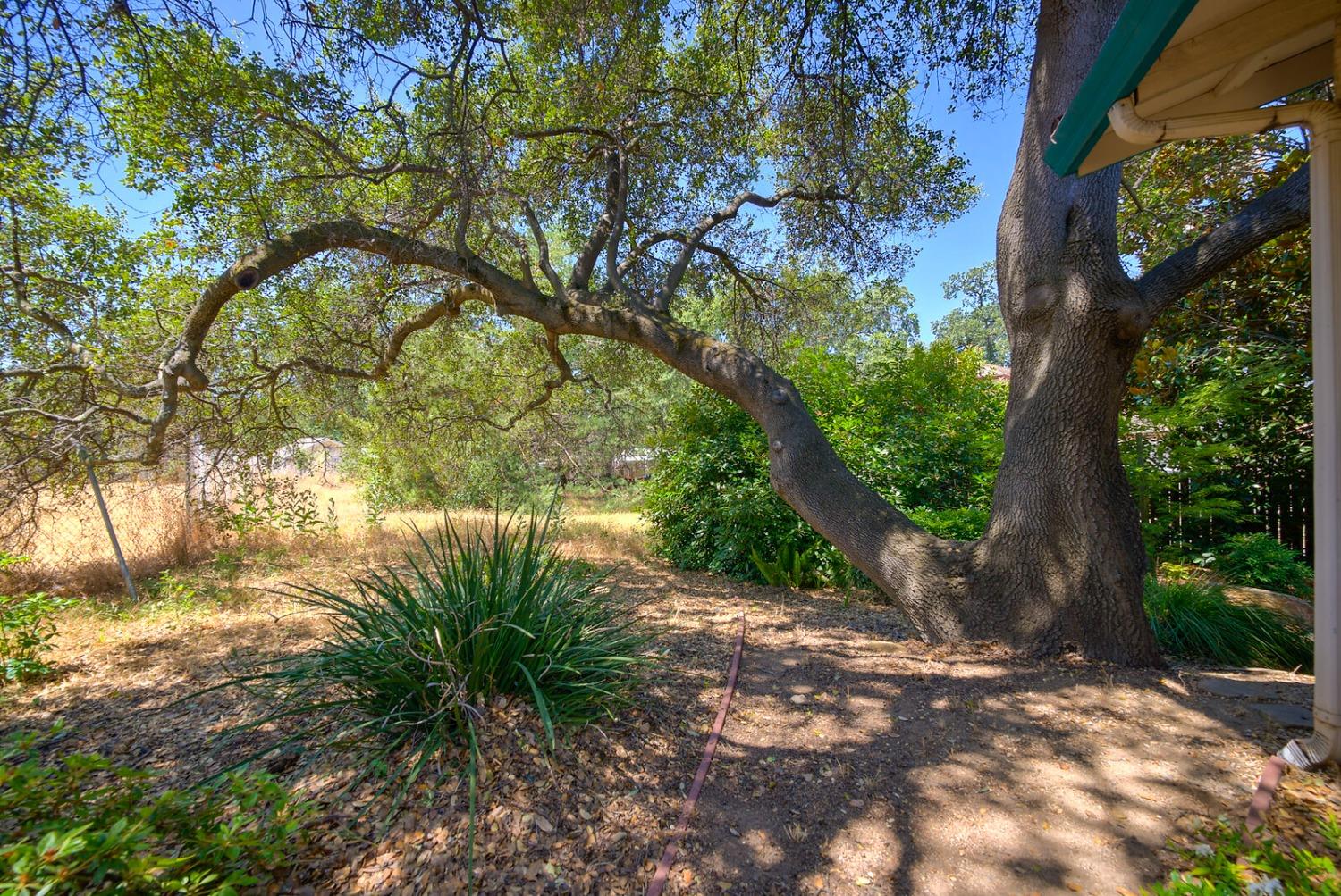 Detail Gallery Image 33 of 36 For 3600 Farron St, Rocklin,  CA 95677 - 3 Beds | 2 Baths