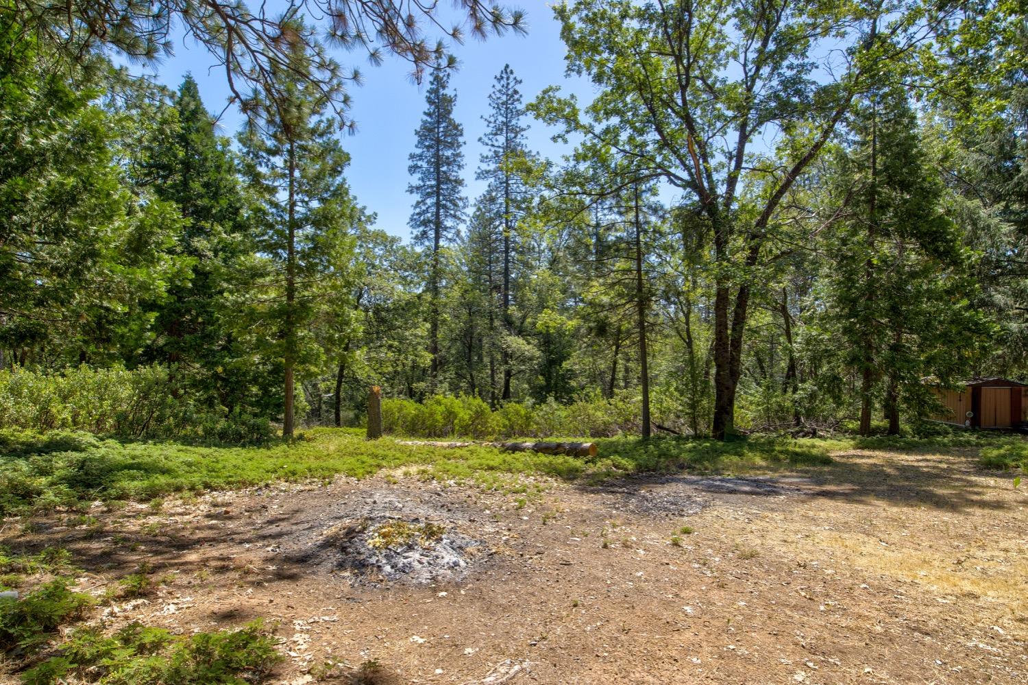 Detail Gallery Image 57 of 73 For 22400 Clute Canyon Rd, Volcano,  CA 95689 - 1 Beds | 2 Baths