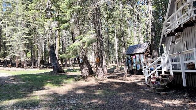 Gooseberry Road, Strawberry Valley, California image 17