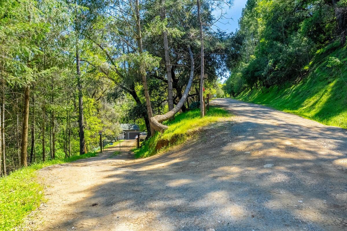 Detail Gallery Image 29 of 47 For 1581 Bear Rock Rd, Placerville,  CA 95667 - 3 Beds | 2/1 Baths