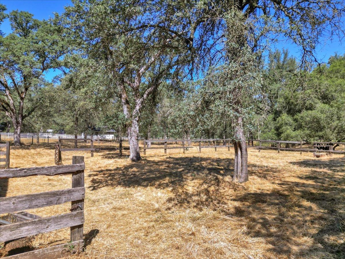 Gray Oak Drive, Rough and Ready, California image 25