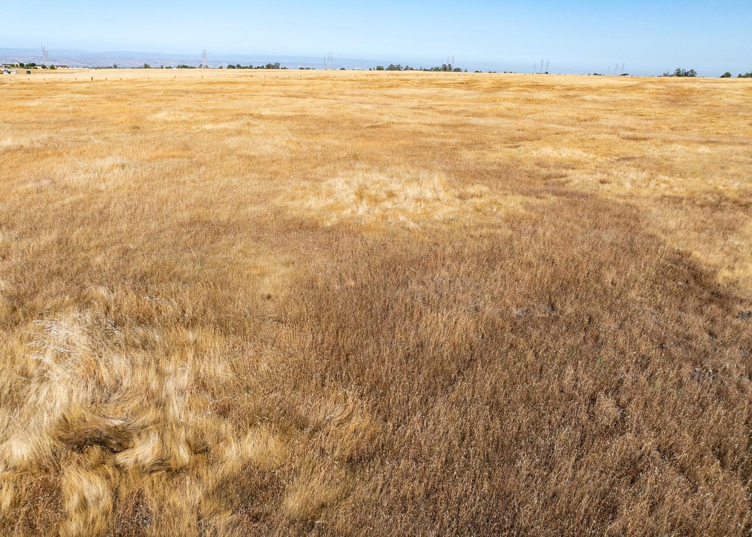 Tehama County, Red Bluff, California image 23