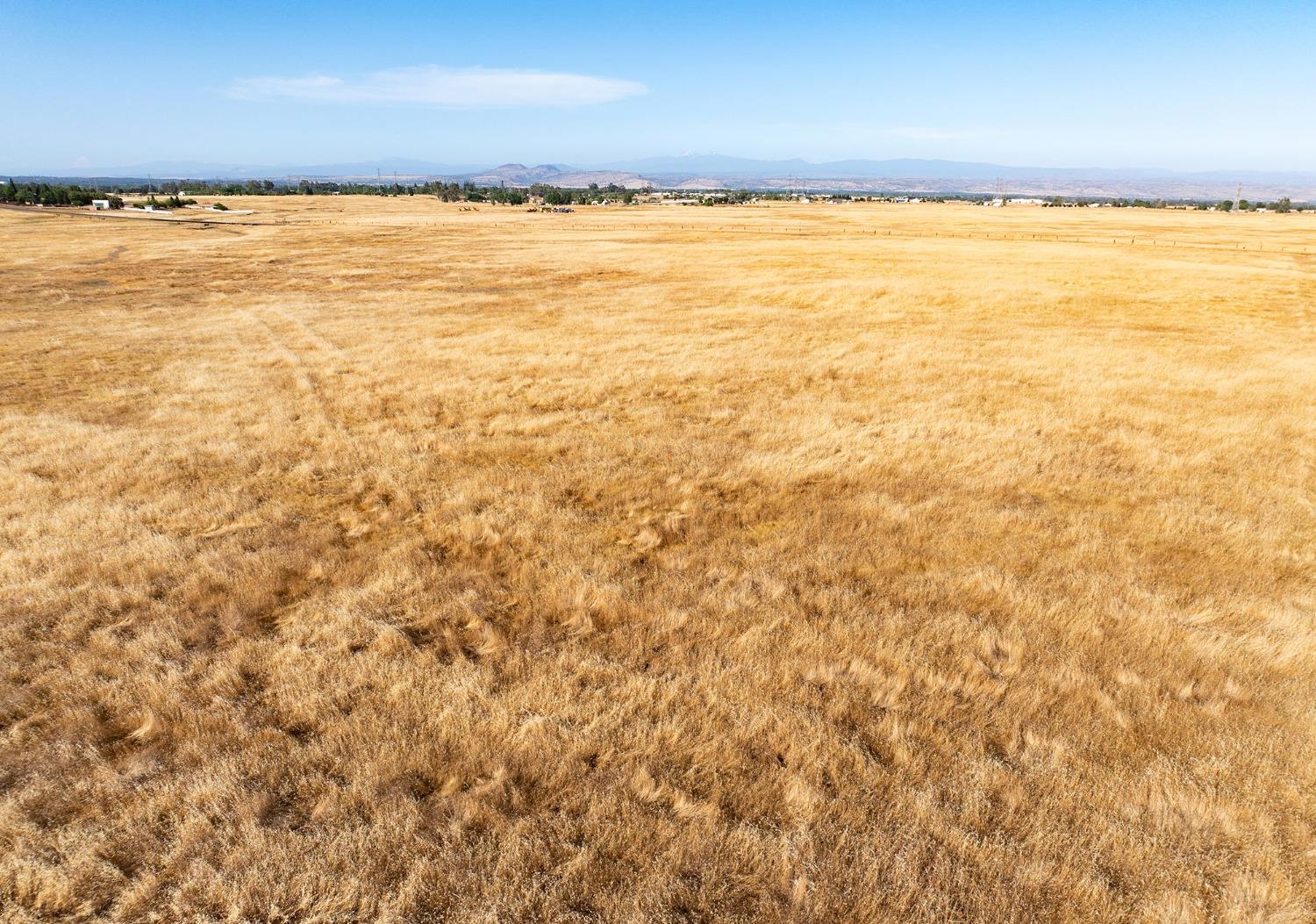 Tehama County, Red Bluff, California image 19