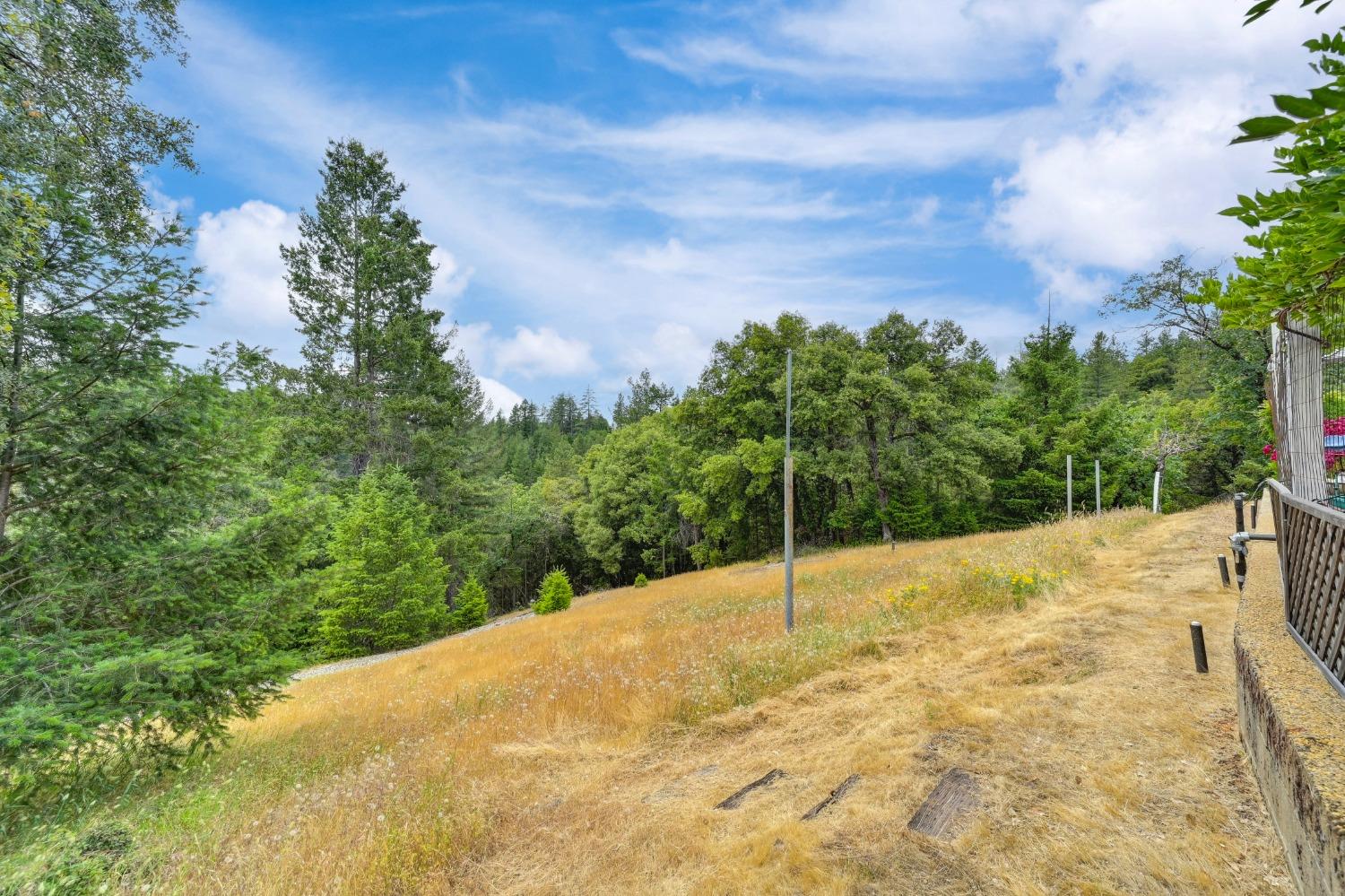 Detail Gallery Image 43 of 80 For 1135 Swanson Ln, Colfax,  CA 95713 - 3 Beds | 2 Baths