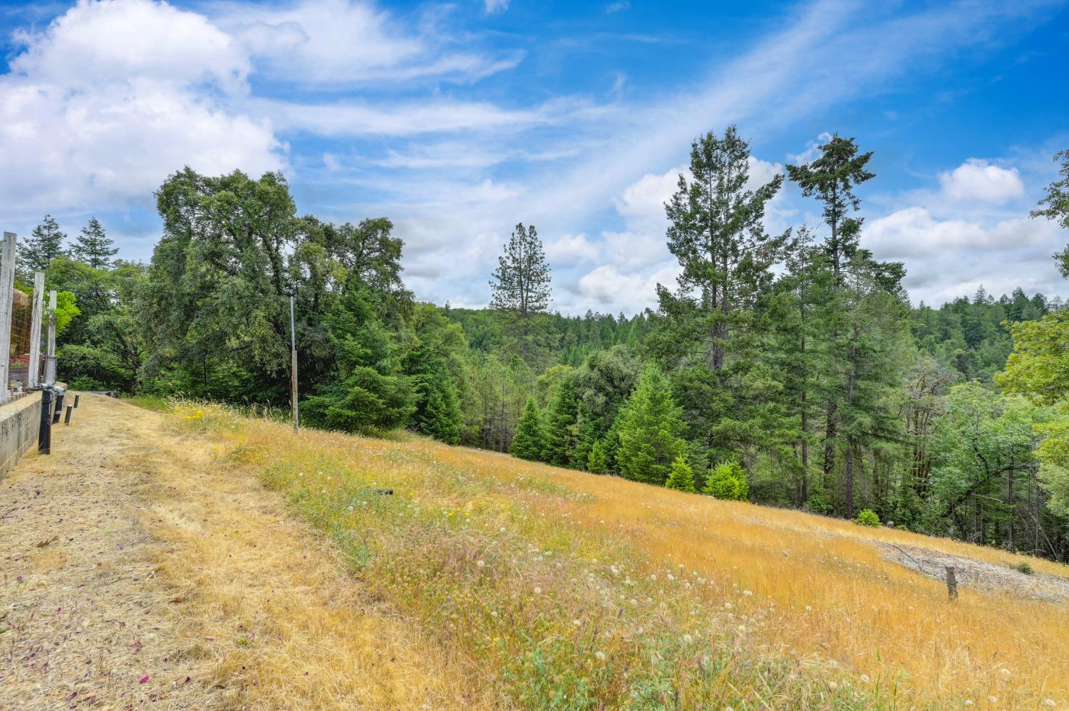 Detail Gallery Image 44 of 80 For 1135 Swanson Ln, Colfax,  CA 95713 - 3 Beds | 2 Baths