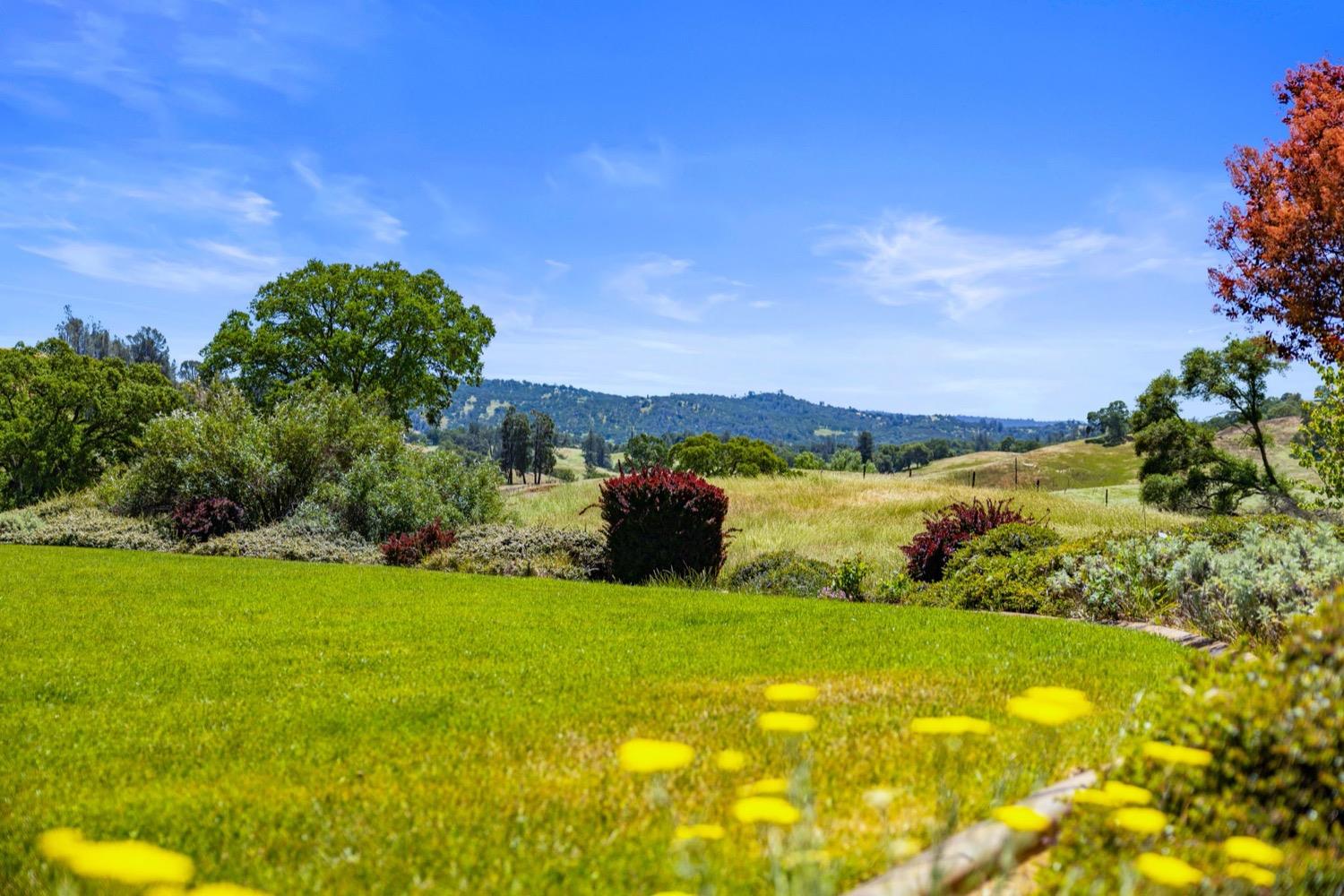 Cozydell Lane, Shingle Springs, California image 46