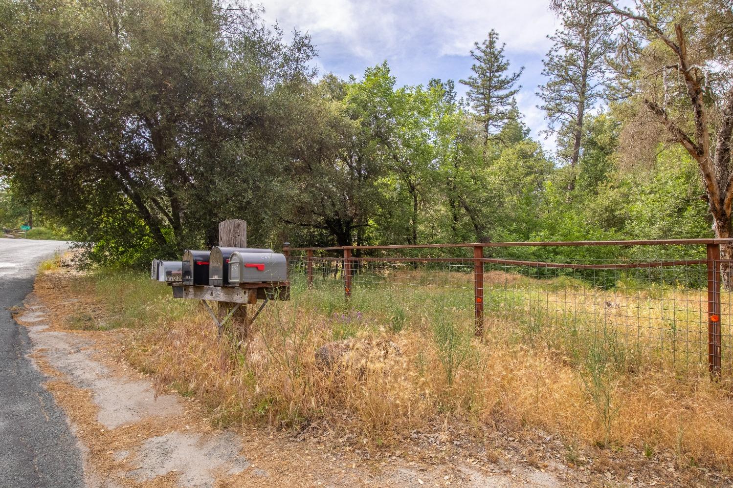 Perry Creek Rd, Somerset, California image 6