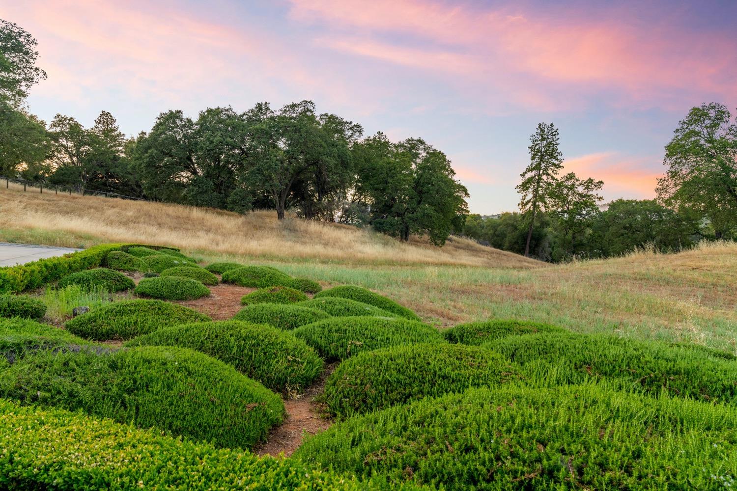 Cozydell Lane, Shingle Springs, California image 23