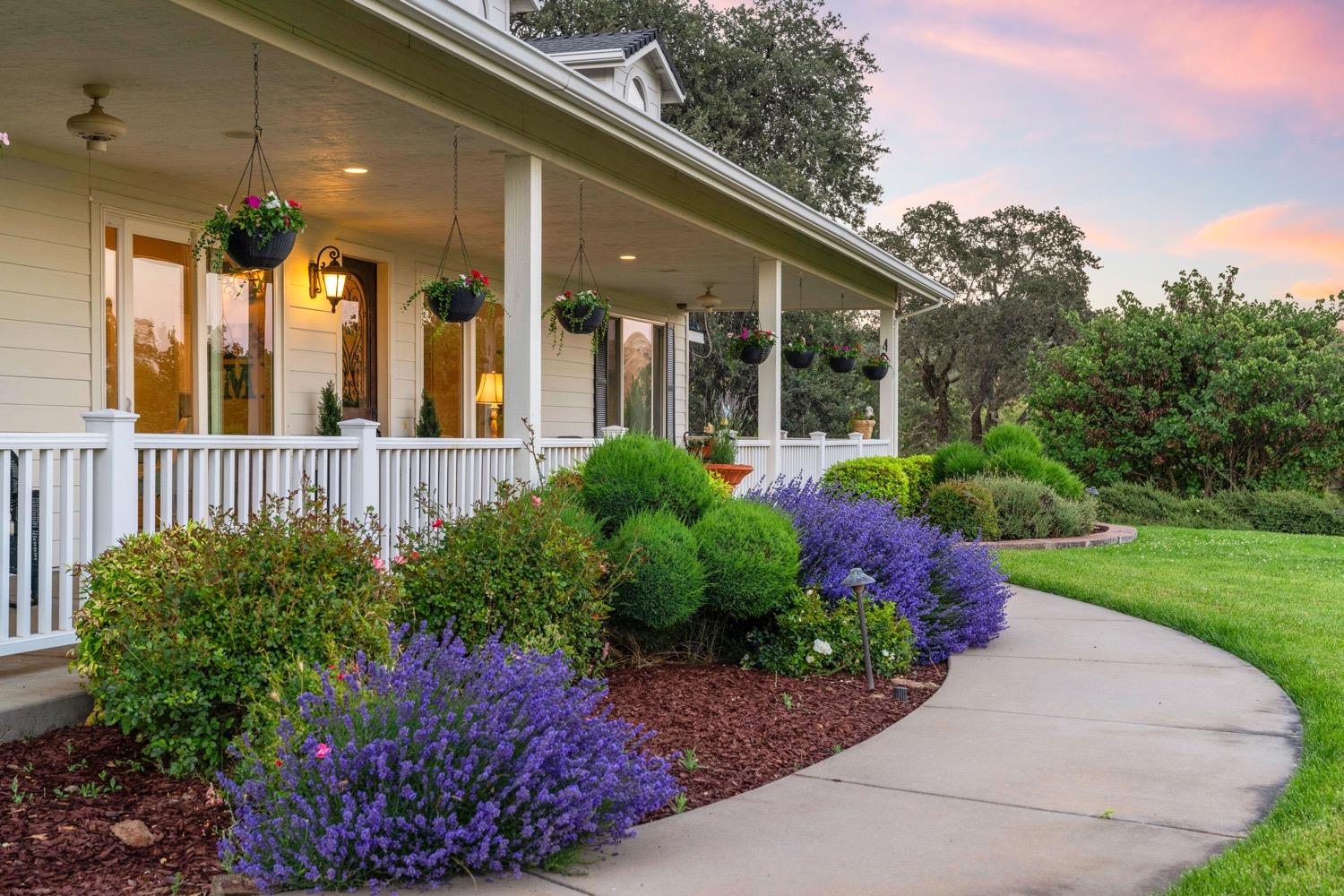 Cozydell Lane, Shingle Springs, California image 26