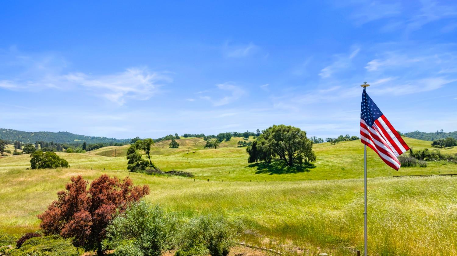 Cozydell Lane, Shingle Springs, California image 4