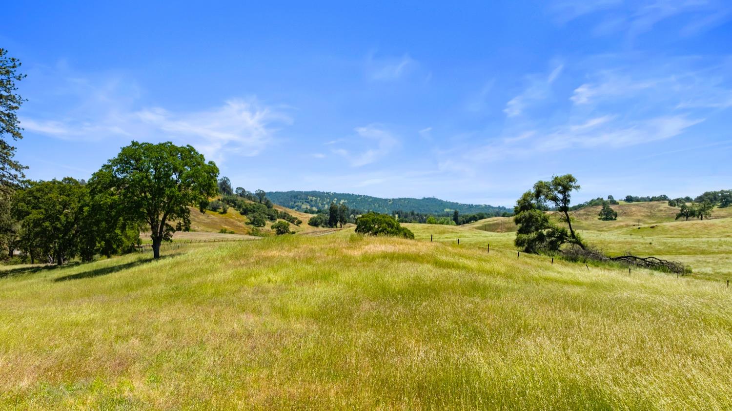 Cozydell Lane, Shingle Springs, California image 13