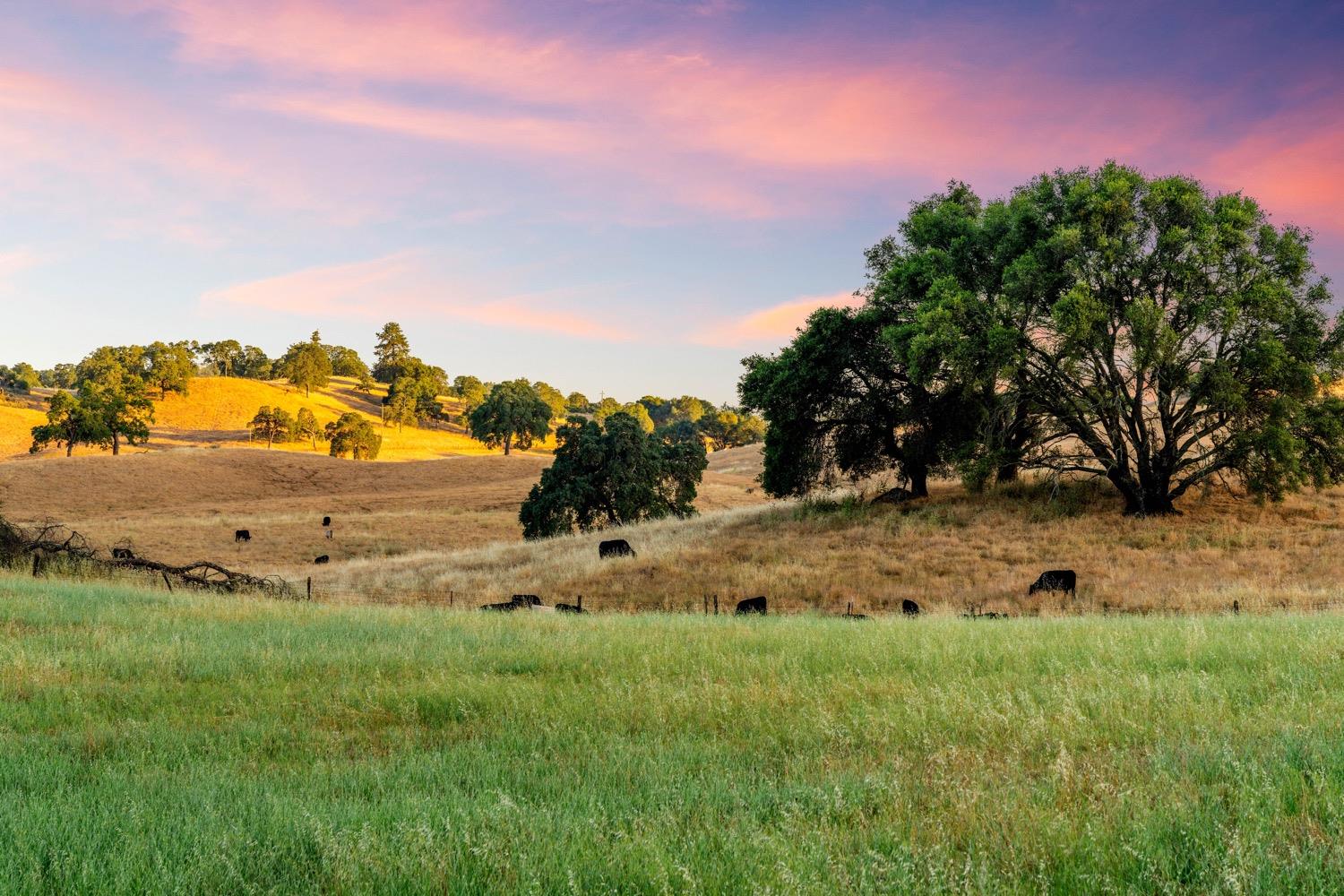 Cozydell Lane, Shingle Springs, California image 19