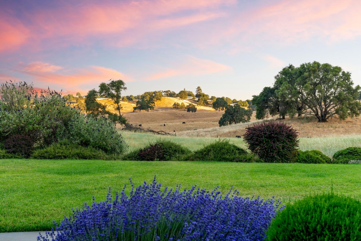 Cozydell Lane, Shingle Springs, California image 2