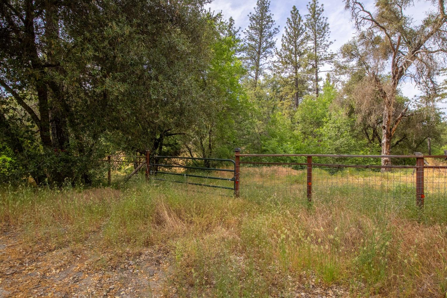 Perry Creek Rd, Somerset, California image 7