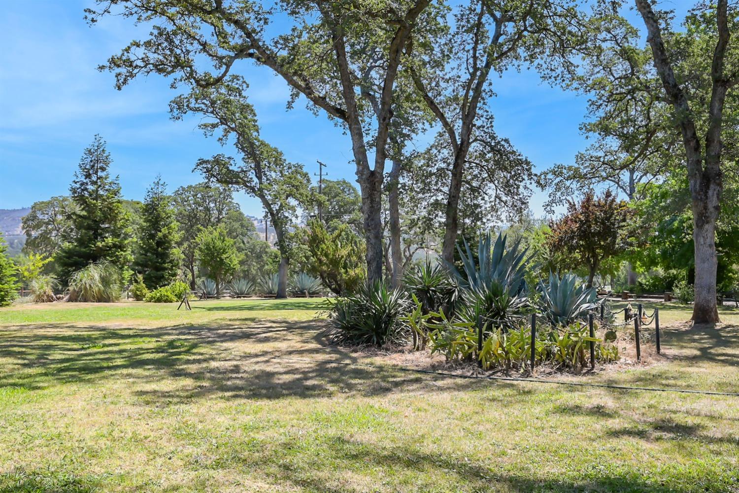 Detail Gallery Image 79 of 89 For 12708 Lone Tree Way, Marysville,  CA 95901 - 8 Beds | 3/1 Baths