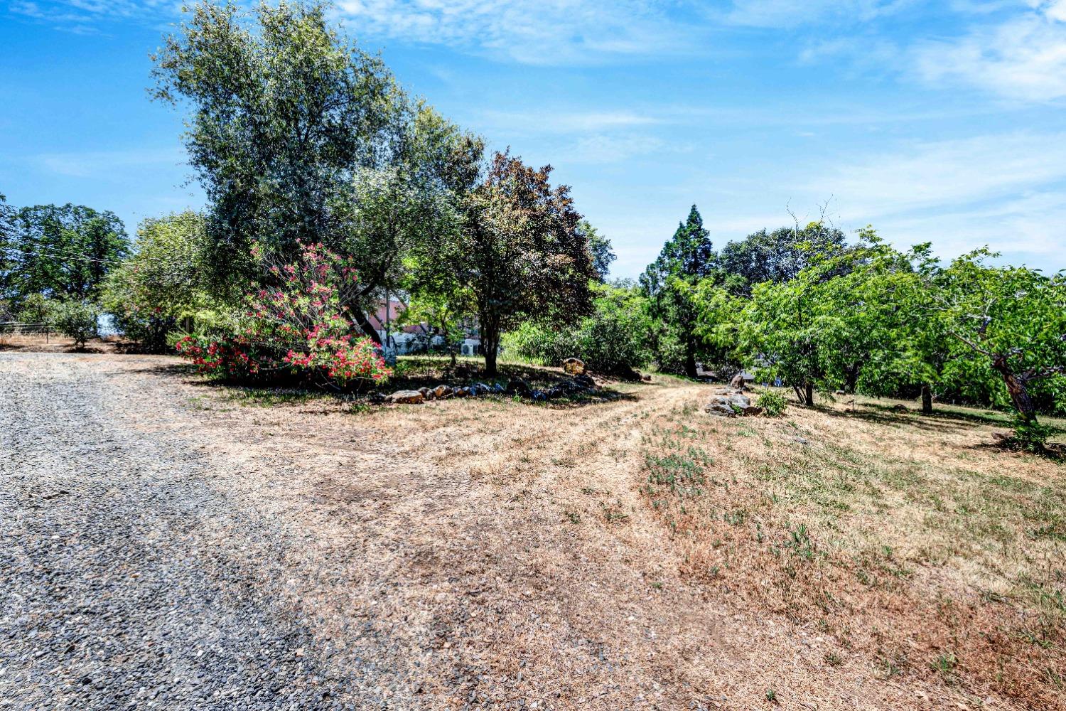 W Digger Hill Way, Rough and Ready, California image 33