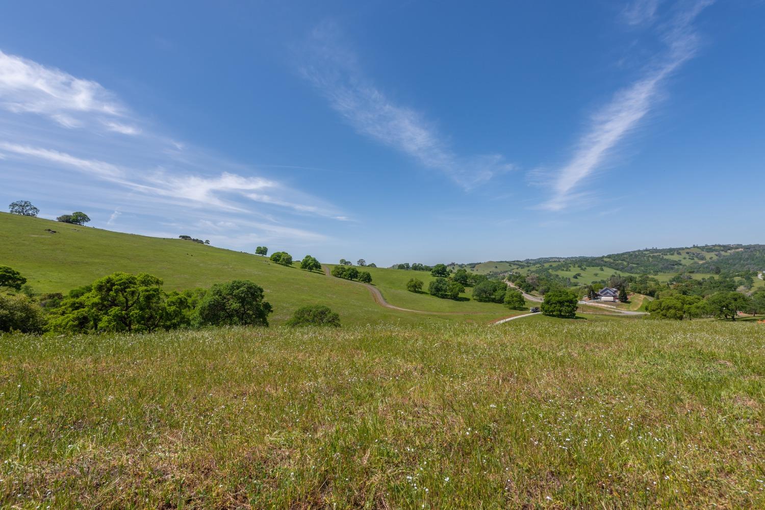 Detail Gallery Image 25 of 50 For 9840 New Chicago Rd, Drytown,  CA 95699 - 3 Beds | 4 Baths