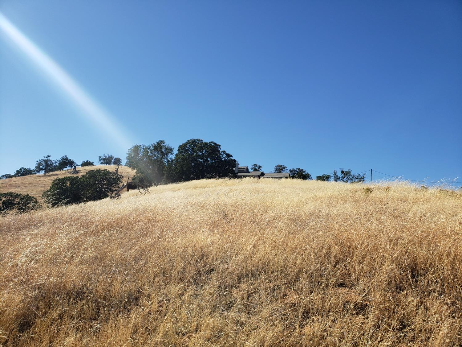 Alamo Drive, La Grange, California image 1