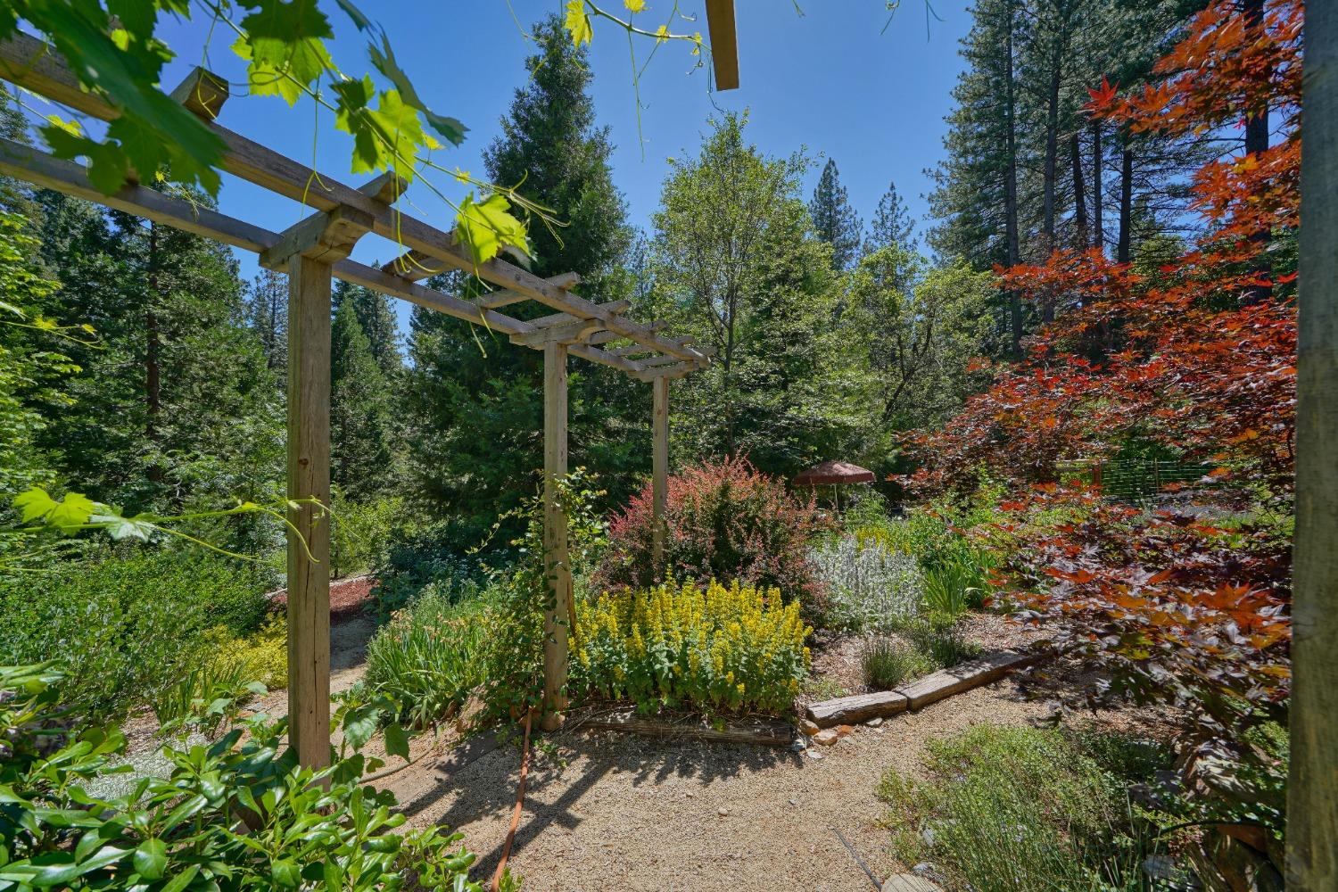 Detail Gallery Image 55 of 67 For 5360 Robert Rd, Pollock Pines,  CA 95726 - 2 Beds | 1/2 Baths