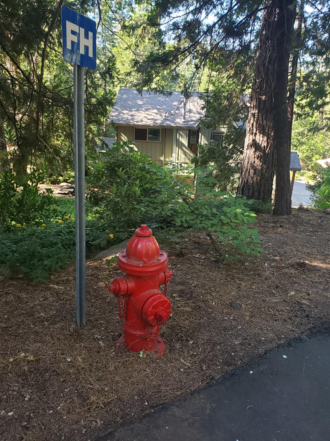 Detail Gallery Image 67 of 67 For 5360 Robert Rd, Pollock Pines,  CA 95726 - 2 Beds | 1/2 Baths