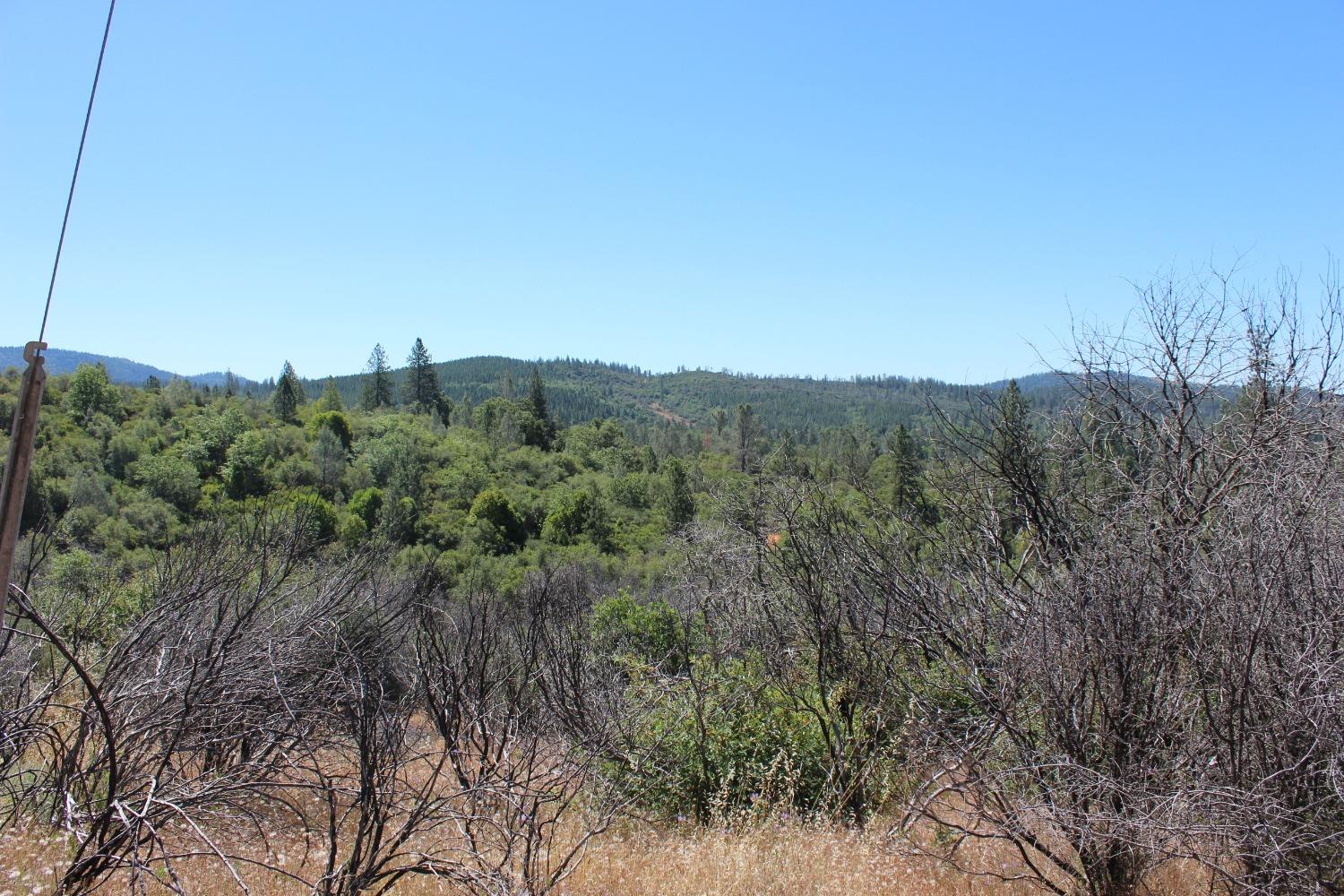 Frenchtown Dobbins Rd, Dobbins, California image 6