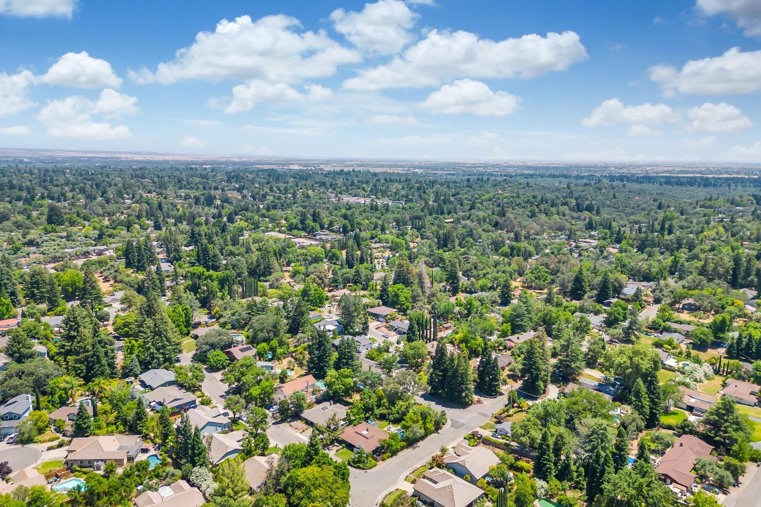 Detail Gallery Image 77 of 80 For 8332 Willowdale Way, Fair Oaks,  CA 95628 - 4 Beds | 2/1 Baths