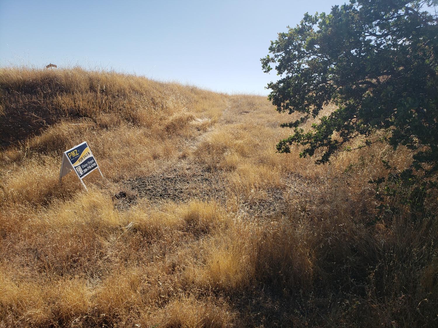 Alamo Drive, La Grange, California image 10