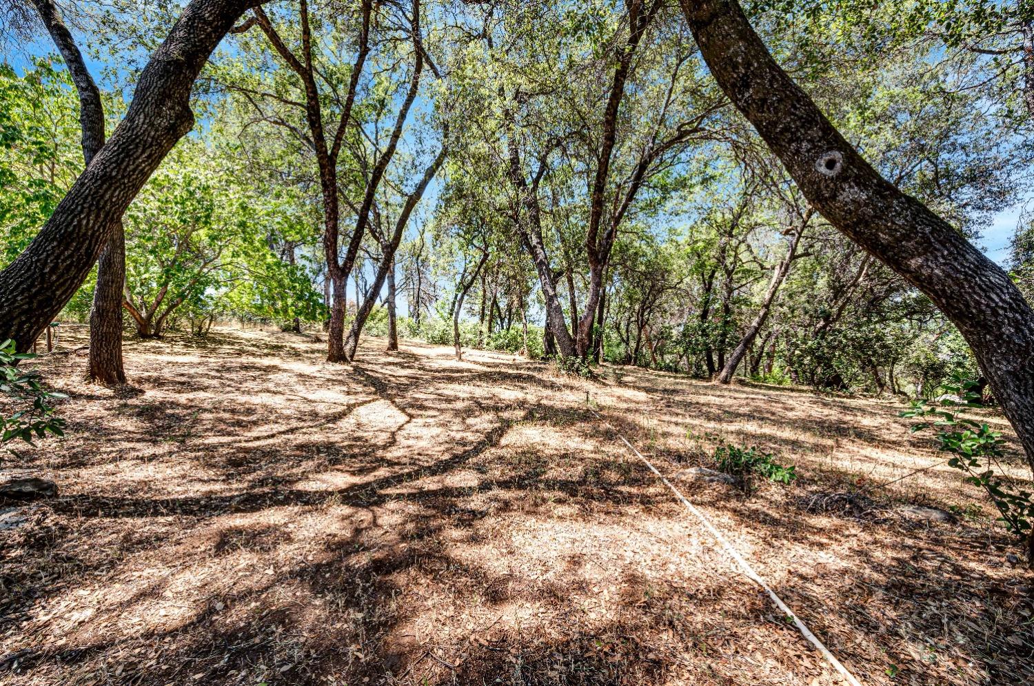 W Digger Hill Way, Rough and Ready, California image 41