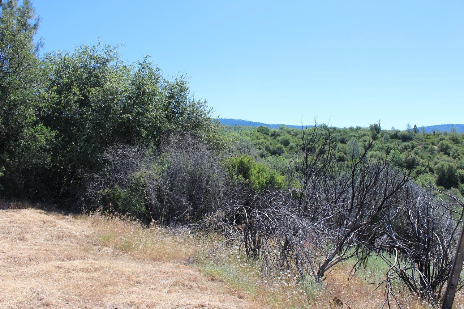 Frenchtown Dobbins Rd, Dobbins, California image 3